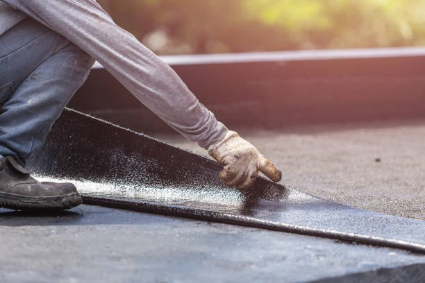 Professional Interior Drainage System technician working in Edgerton, OH